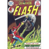 The Flash Vol. 1 Issue 230