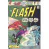 The Flash Vol. 1 Issue 238