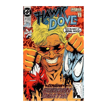 Hawk and Dove Vol. 3 Issue 22