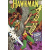 Hawkman Vol. 1 Issue 22