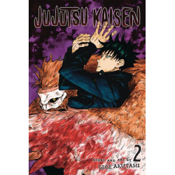 Jujutsu Kaisen  Soft Cover 2