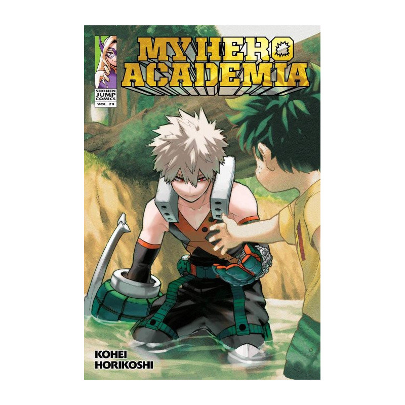 My Hero Academia  Soft Cover 29