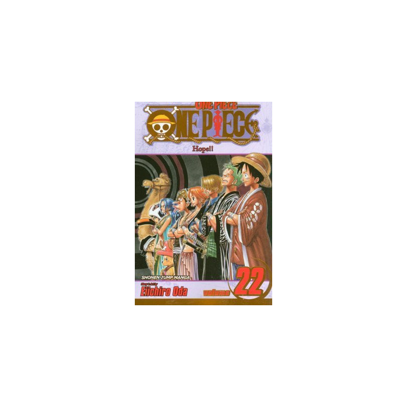 One Piece  Soft Cover  22