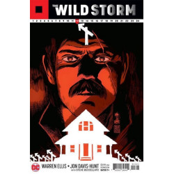 The Wild Storm  Issue 13b Variant