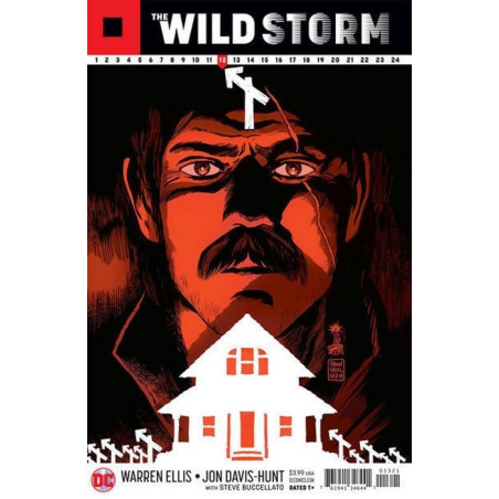 The Wild Storm  Issue 13b Variant