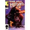 The New Mutants Vol. 1 Issue 19