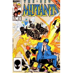 The New Mutants Vol. 1 Issue 37