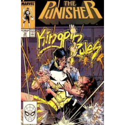 The Punisher Vol. 2 Issue 14