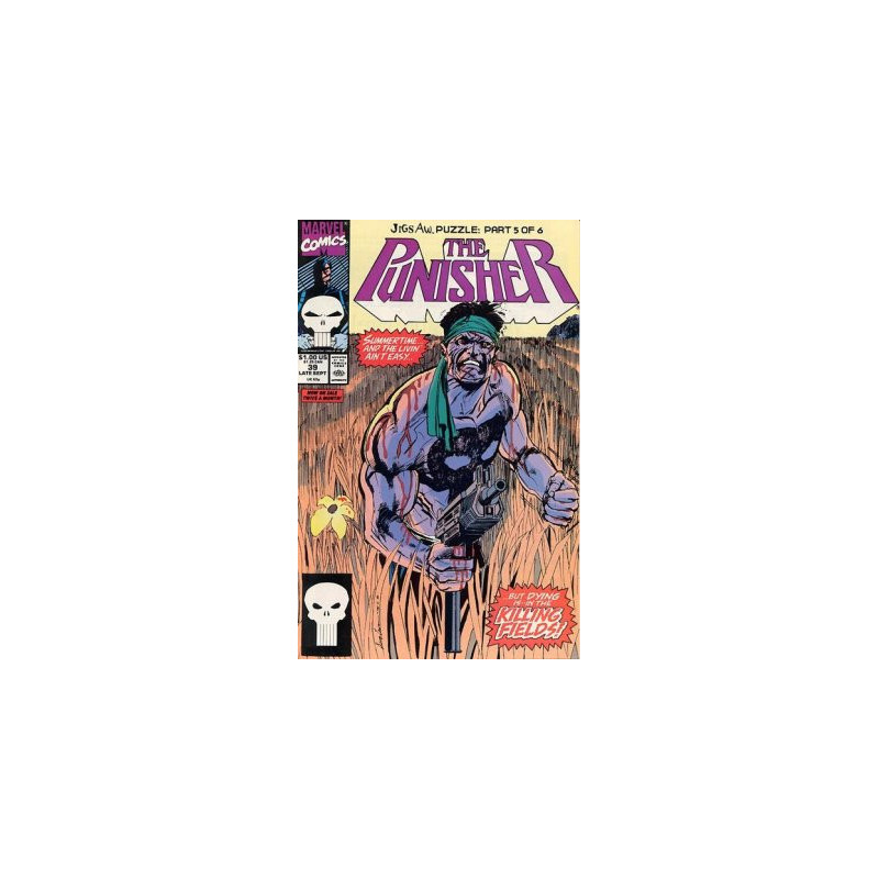 The Punisher Vol. 2 Issue 39