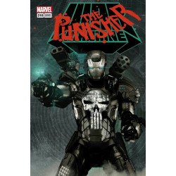 The Punisher Vol.11 Issue 218b Variant