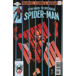 Peter Parker: Spectacular Spider-Man  Issue 297 - 2nd print Variant