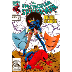 Spectacular Spider-Man Vol. 1 Issue 213game pro