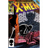 The Uncanny X-Men Vol. 1 Issue 196