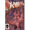 The Uncanny X-Men Vol. 1 Issue 205