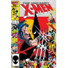 The Uncanny X-Men Vol. 1 Issue 211