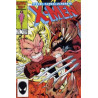 The Uncanny X-Men Vol. 1 Issue 213