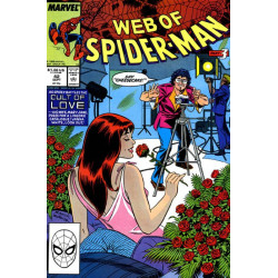 Web of Spider-Man Vol. 1 Issue  42