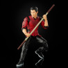 Marvel Legends Series Shang-Chi 6-inch Collectible Shang-Chi