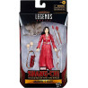 Marvel Legends Series Shang-Chi 6-inch Collectible Katy