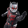 Marvel Legends Series Ant-Man and the Wasp: Quantumania 6-inch Ant-Man