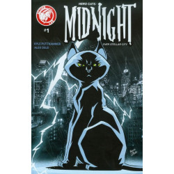 Hero Cats: Midnight Over Stellar City Vol. 1 Issue 1b Variant