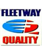 Fleetway (AP/IPC)